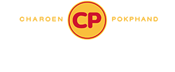 authentic asia