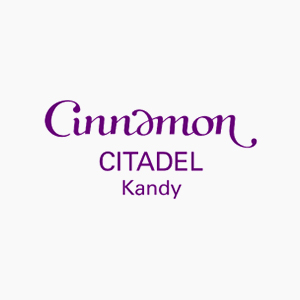 Cinnamon hotels