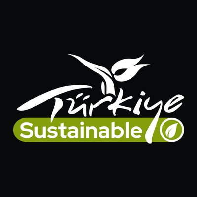 Goturkiye