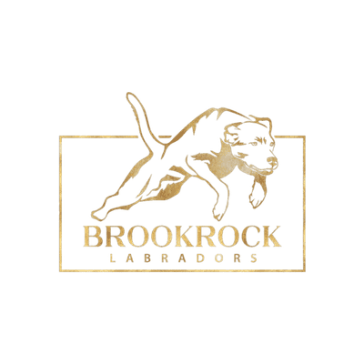 Reebooks