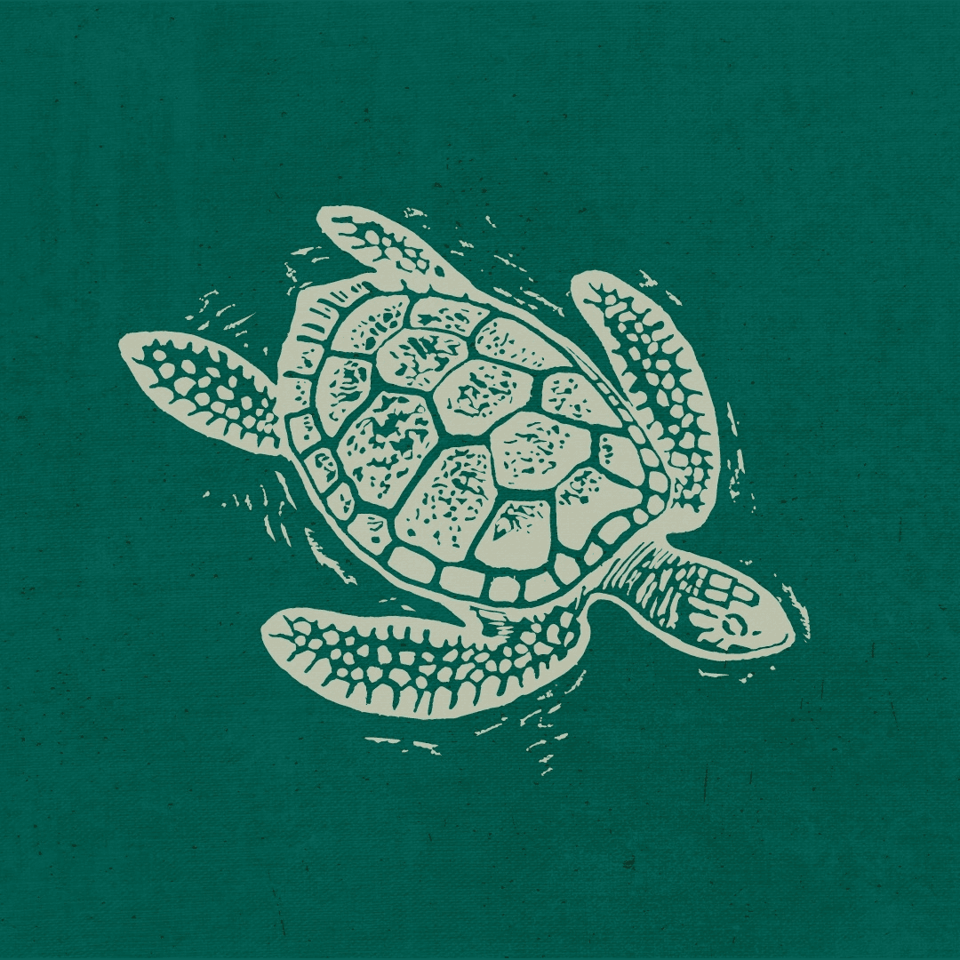 Turtlebay