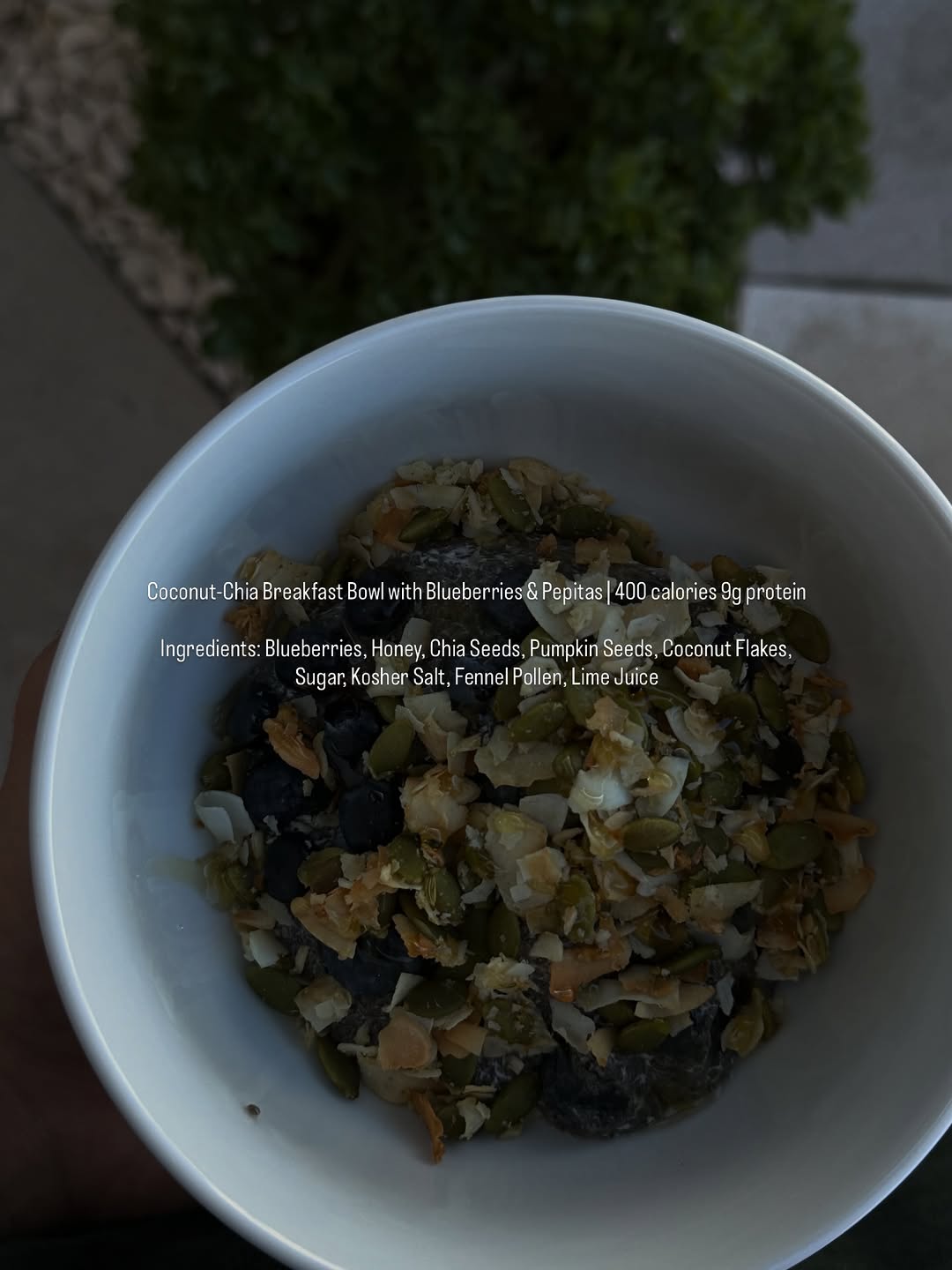 A close-up view of a chia breakfast bowl topped with blueberries, pepitas, and various seeds, displayed in a white bowl.