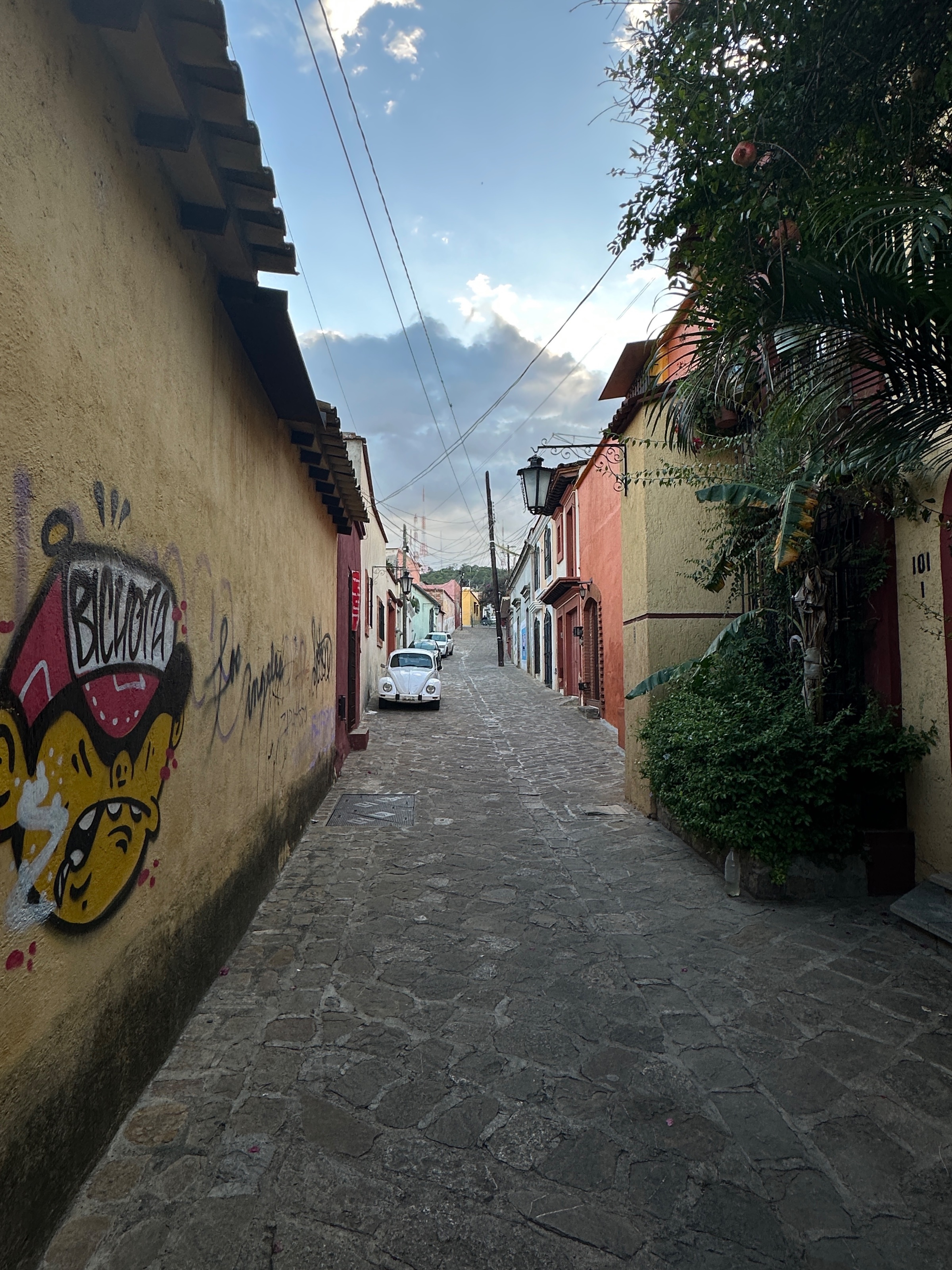 A narrow cobblestone street lined with colorful buildings and street art, leading towards a cloudy sky.