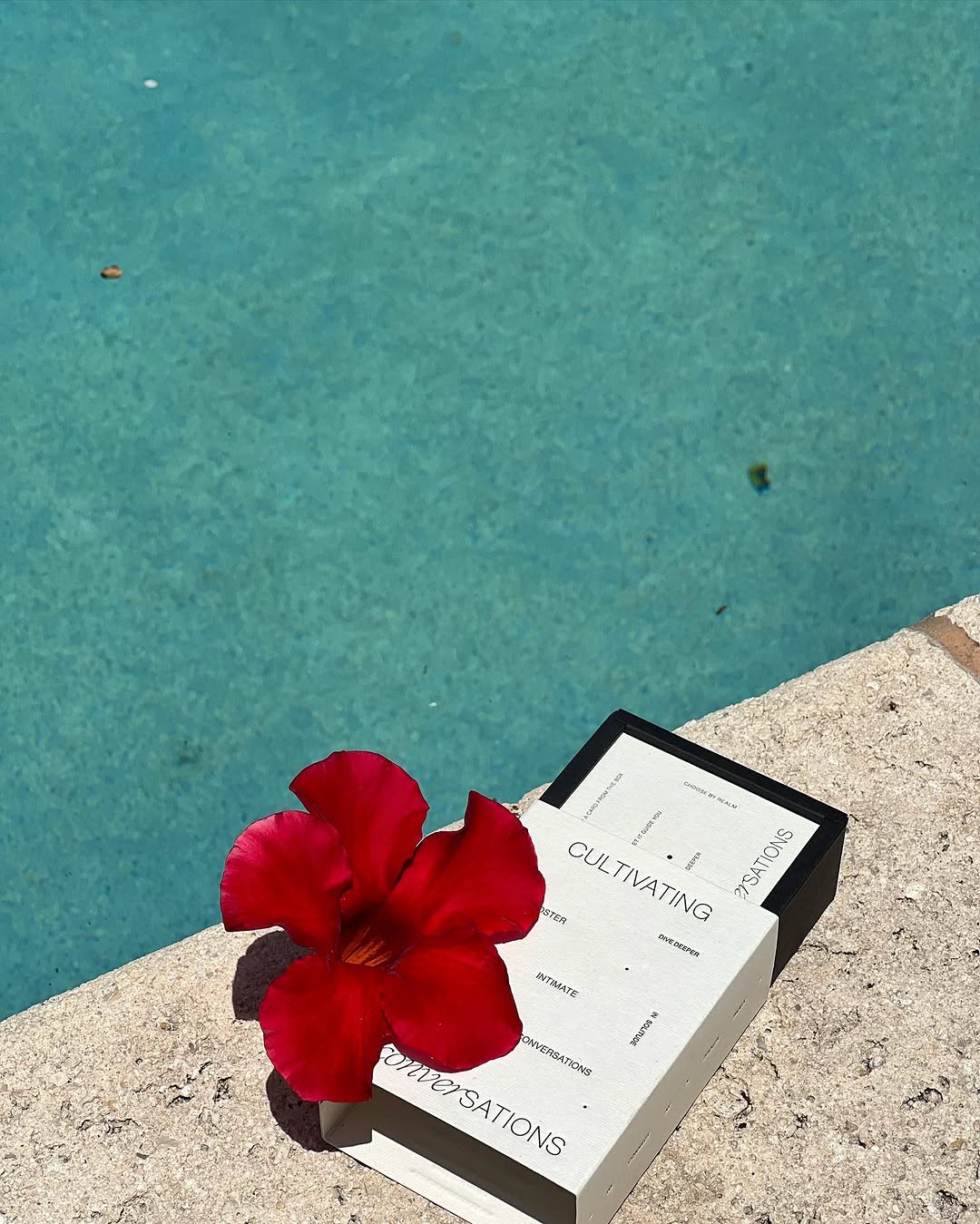 A vibrant red flower rests on a box labeled 'Cultivating' beside a clear blue pool.