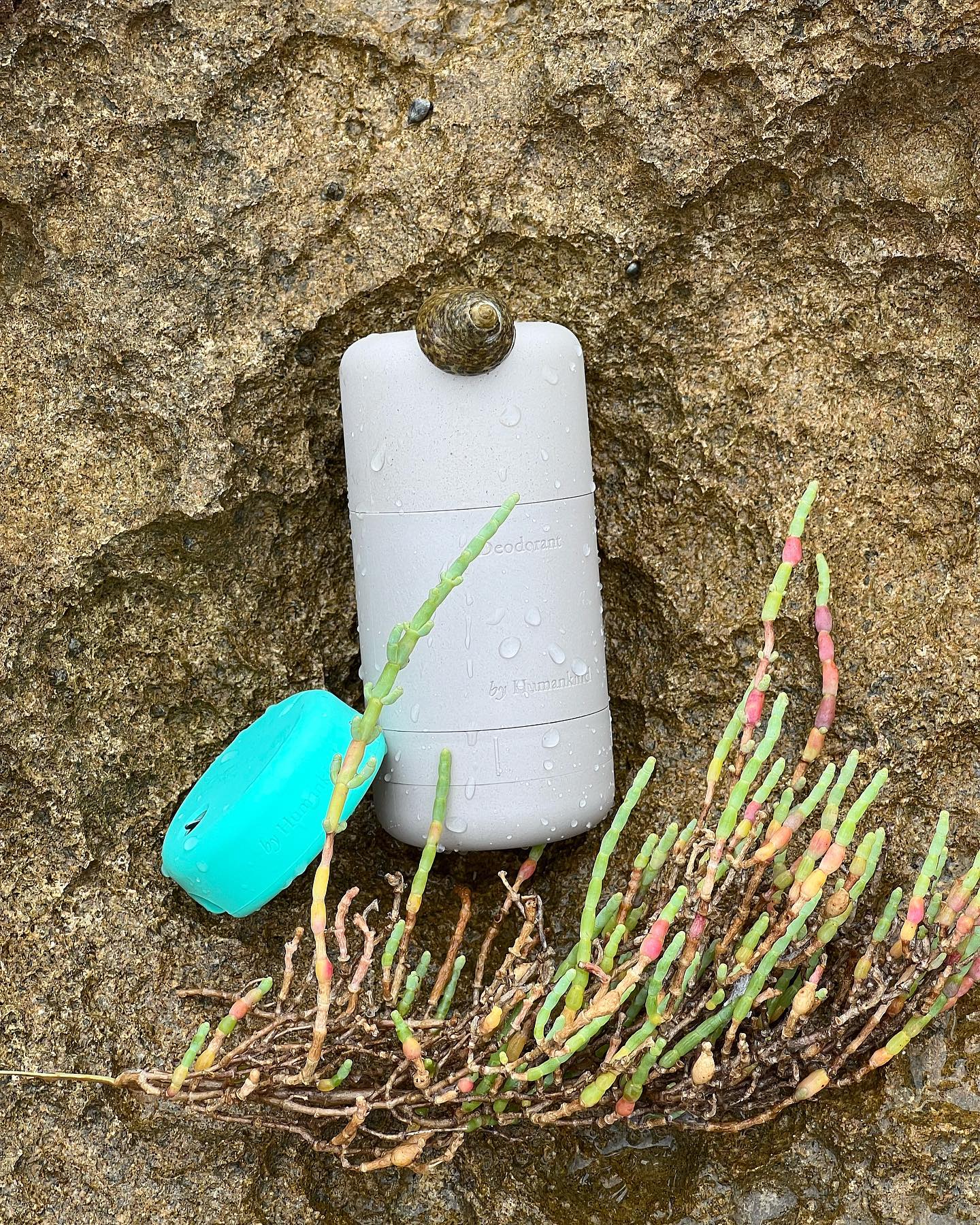 A gray deodorant stick resting on a rocky surface, surrounded by green and pink plants, with droplets of water on its surface.