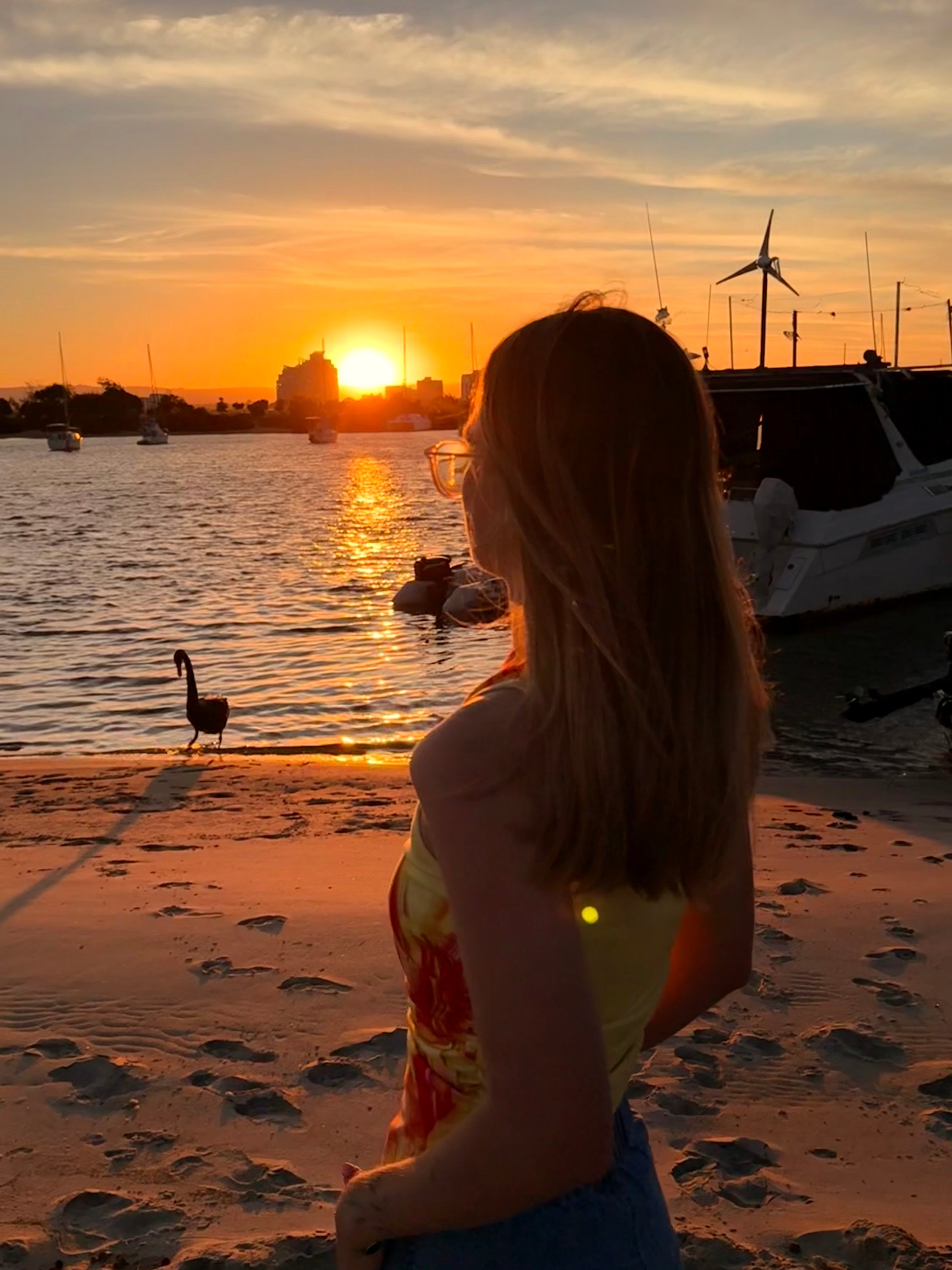 A person stands on the beach at sunset, gazing at the horizon with boats in the background and a bird nearby.