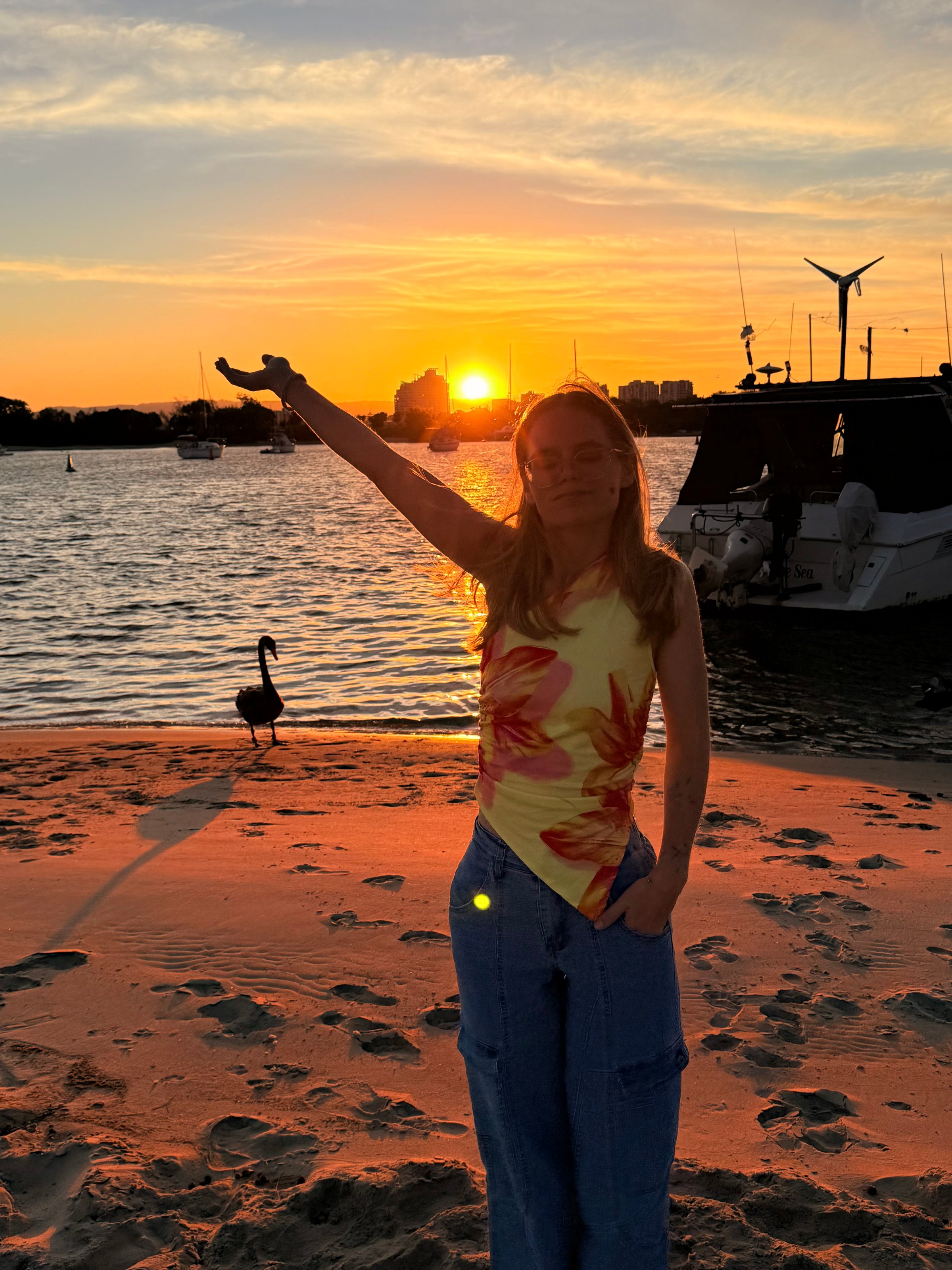 A person stands on the beach at sunset, with their arm raised towards the sun. A silhouette of a bird is visible in the background.