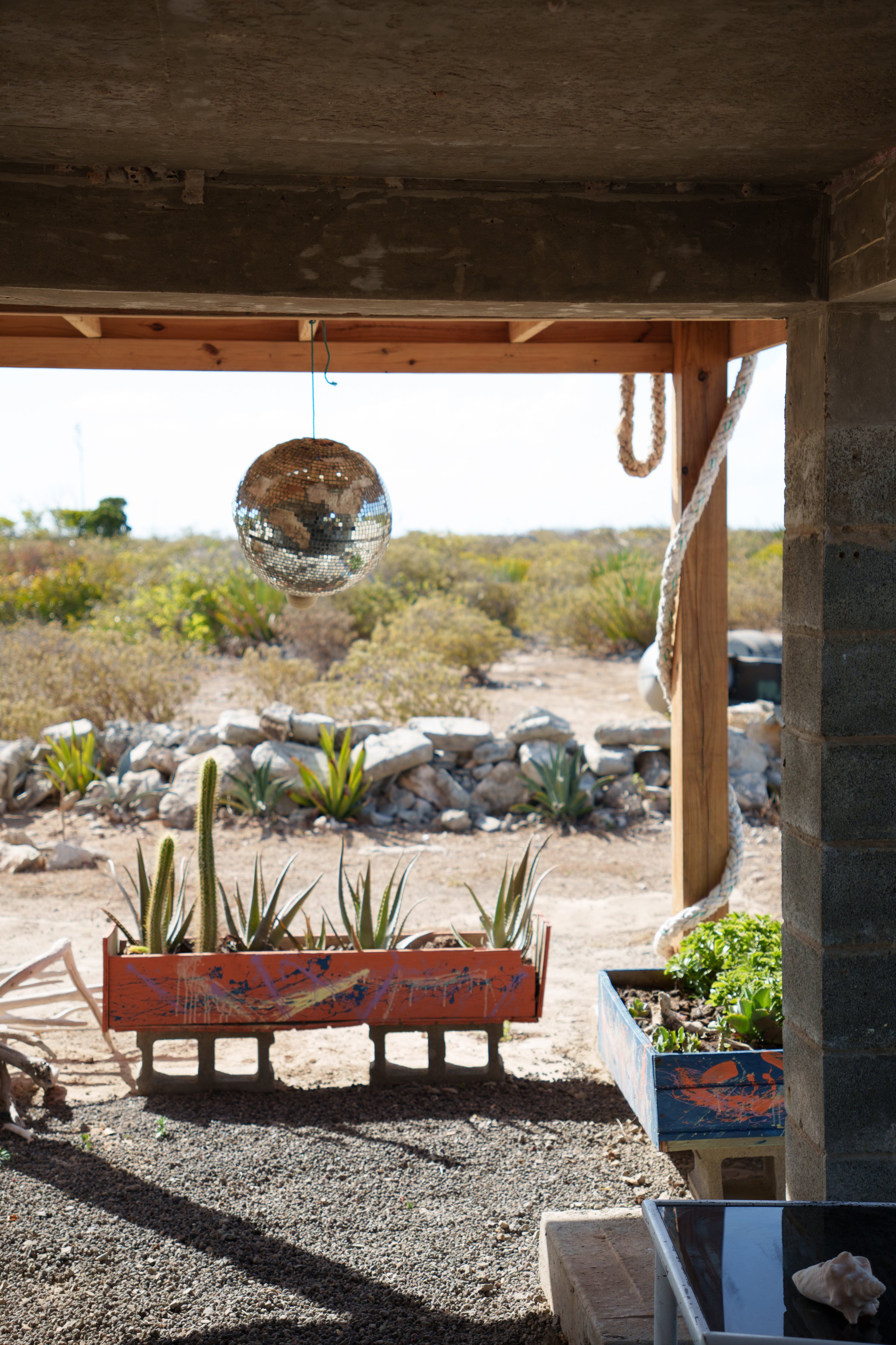 A rustic outdoor space featuring potted plants and a hanging disco ball, with a desert landscape in the background.