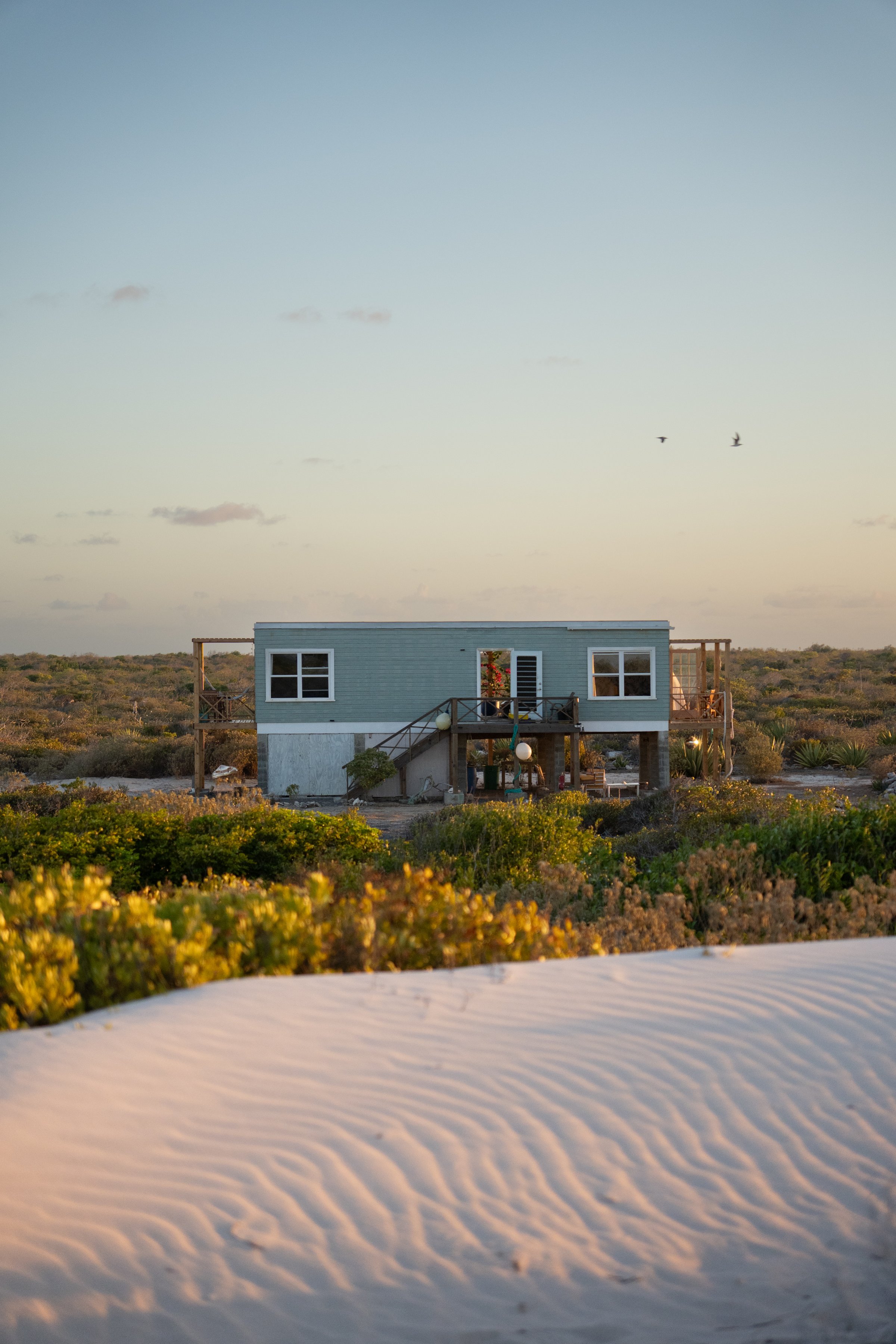 A small blue house surrounded by lush greenery and sand dunes under a clear sky during sunset.