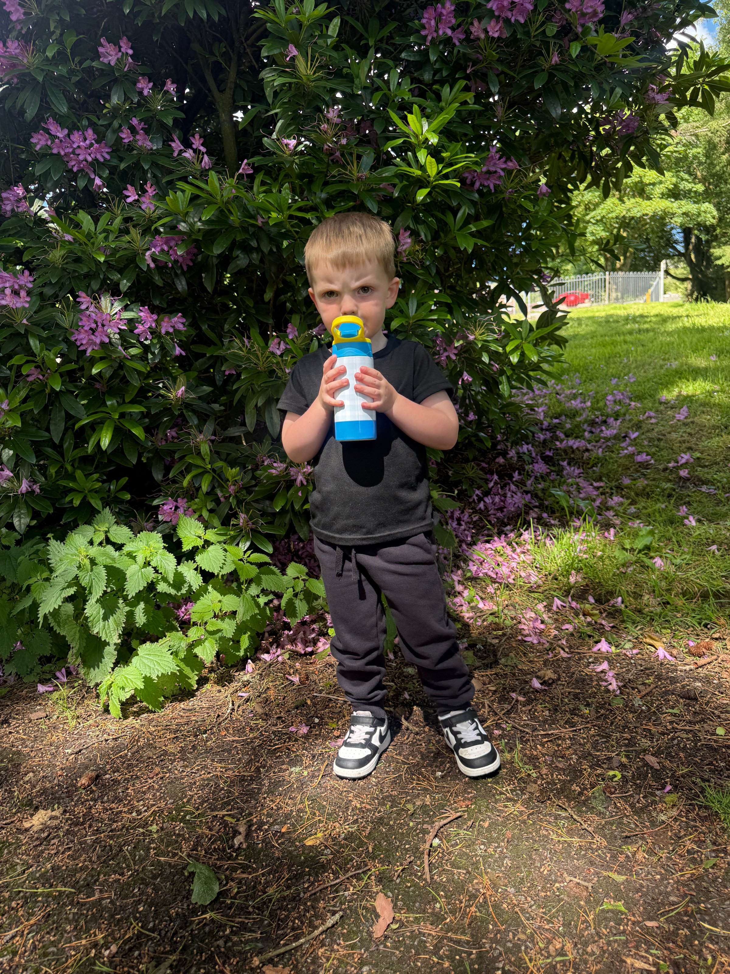 A young child stands in front of flowering bushes, holding a colorful water bottle. The ground is covered with purple petals and greenery.