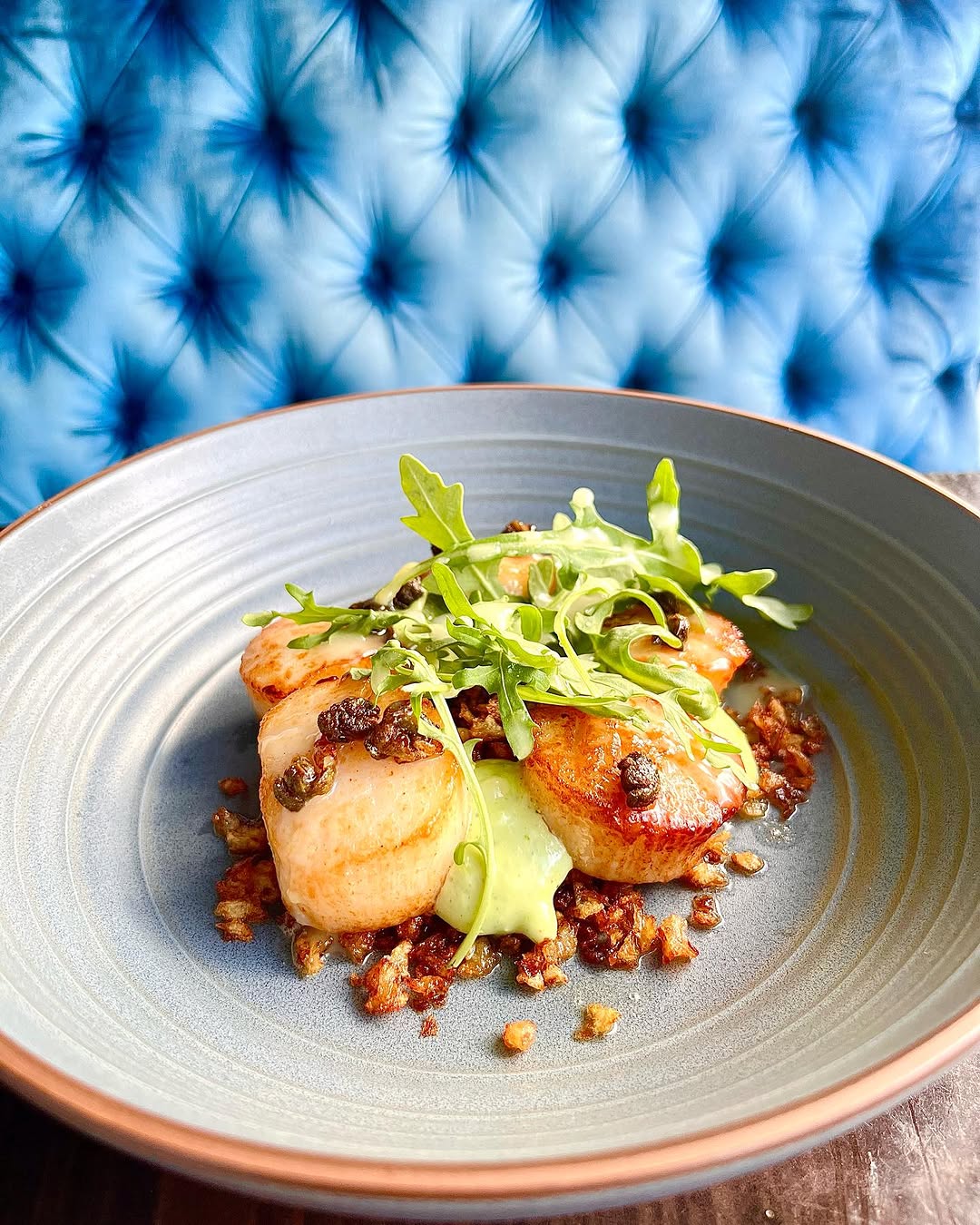 A beautifully plated dish featuring seared scallops topped with arugula and a green sauce, presented on a textured blue background.