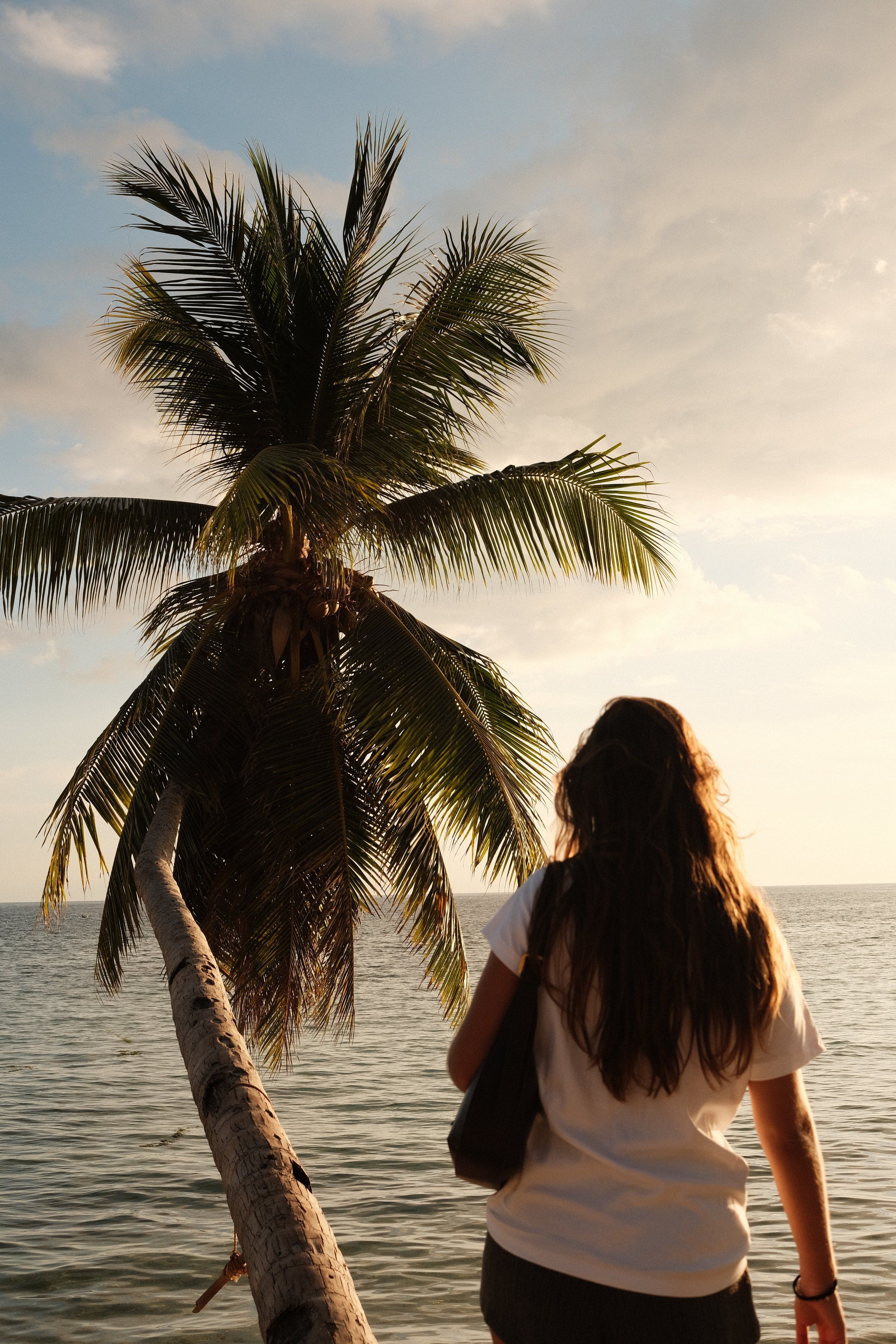A person stands on a beach looking out at the ocean, with a palm tree leaning over the water in the foreground.